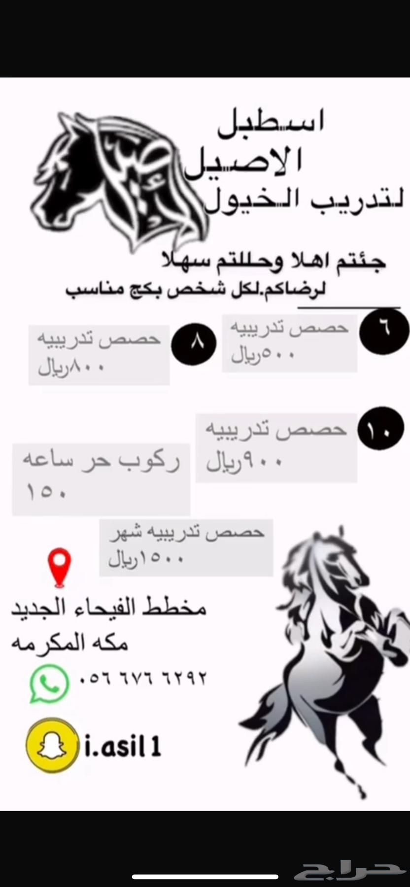 اصنع فارس المستقبل  مع عروض مربط الأصيل المميزة64474374870658110