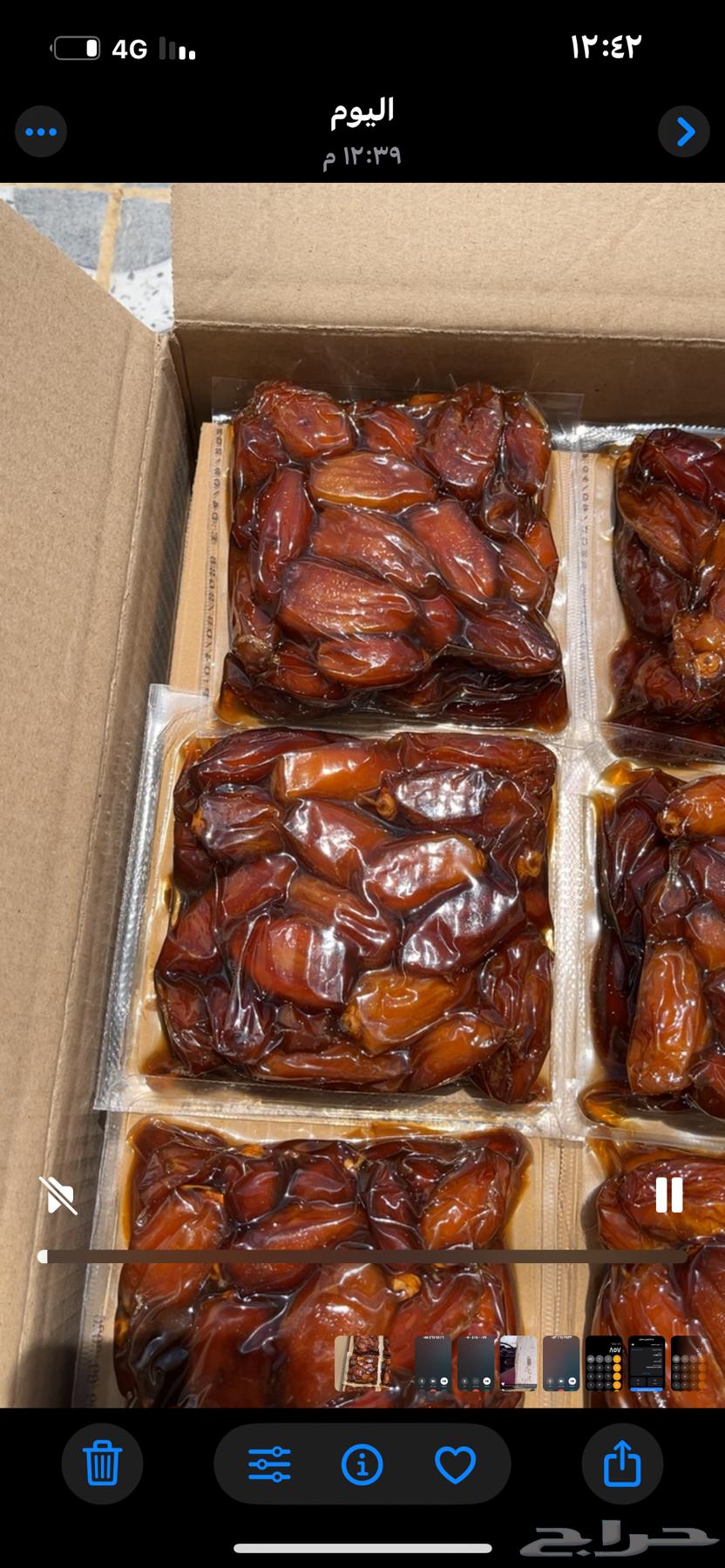 تمر صفري بيشه الجعبه64474315116929112