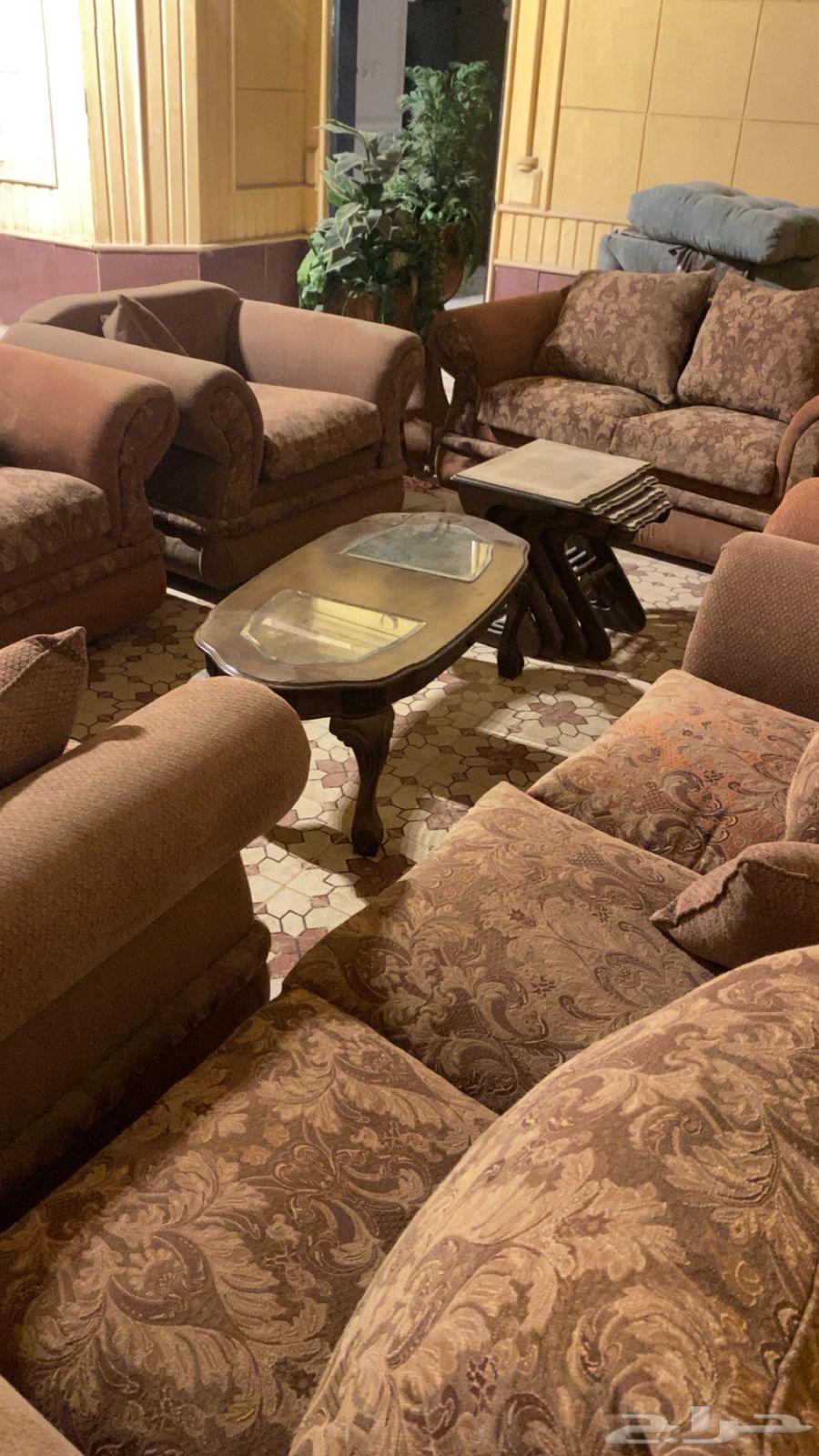 كنب   طاولة   طاولات خدمة   اشجار زينه64474693286018110