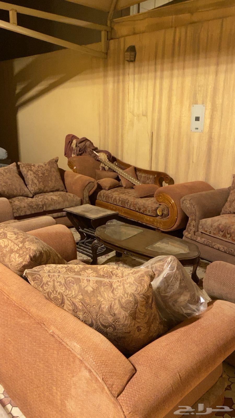 كنب   طاولة   طاولات خدمة   اشجار زينه64474693286018111