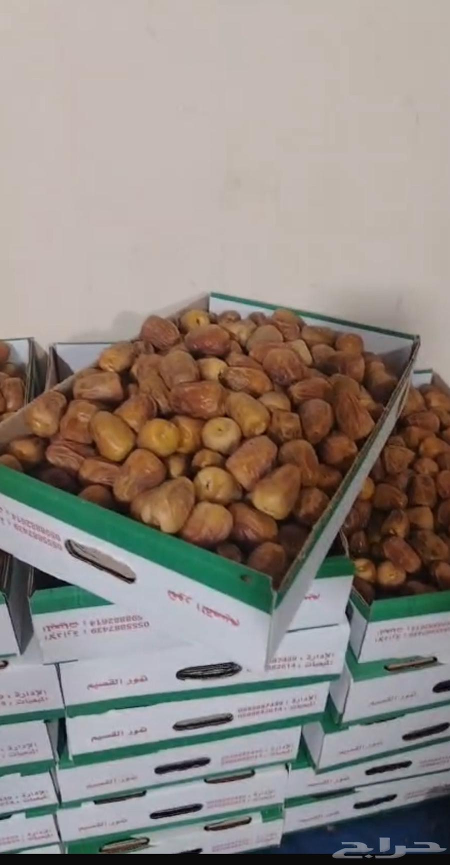 First-grade soft Sukkari dates64472429431426114