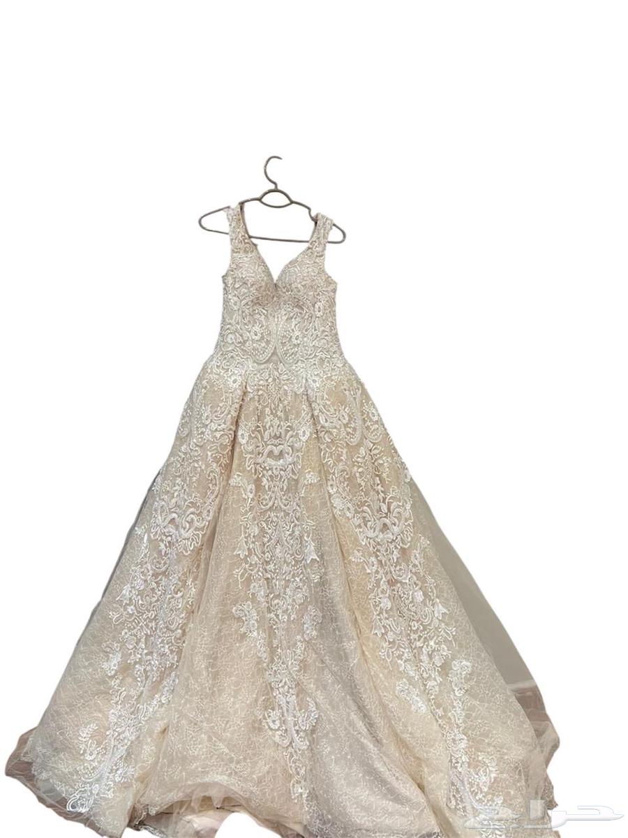 Marriage contract, I specified its separation at 5000 and its sale at 250064477686053249110