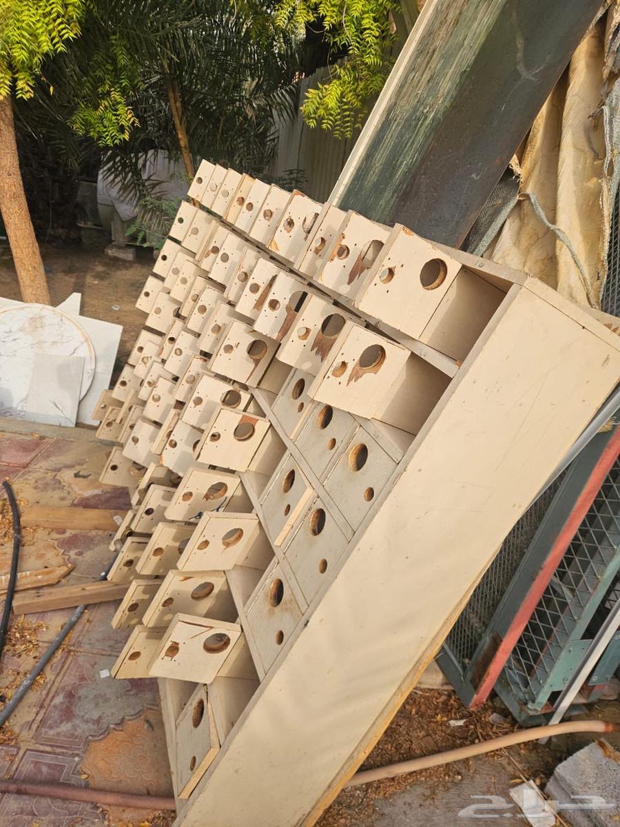 أعشاش طيور للبيع64473917076611111