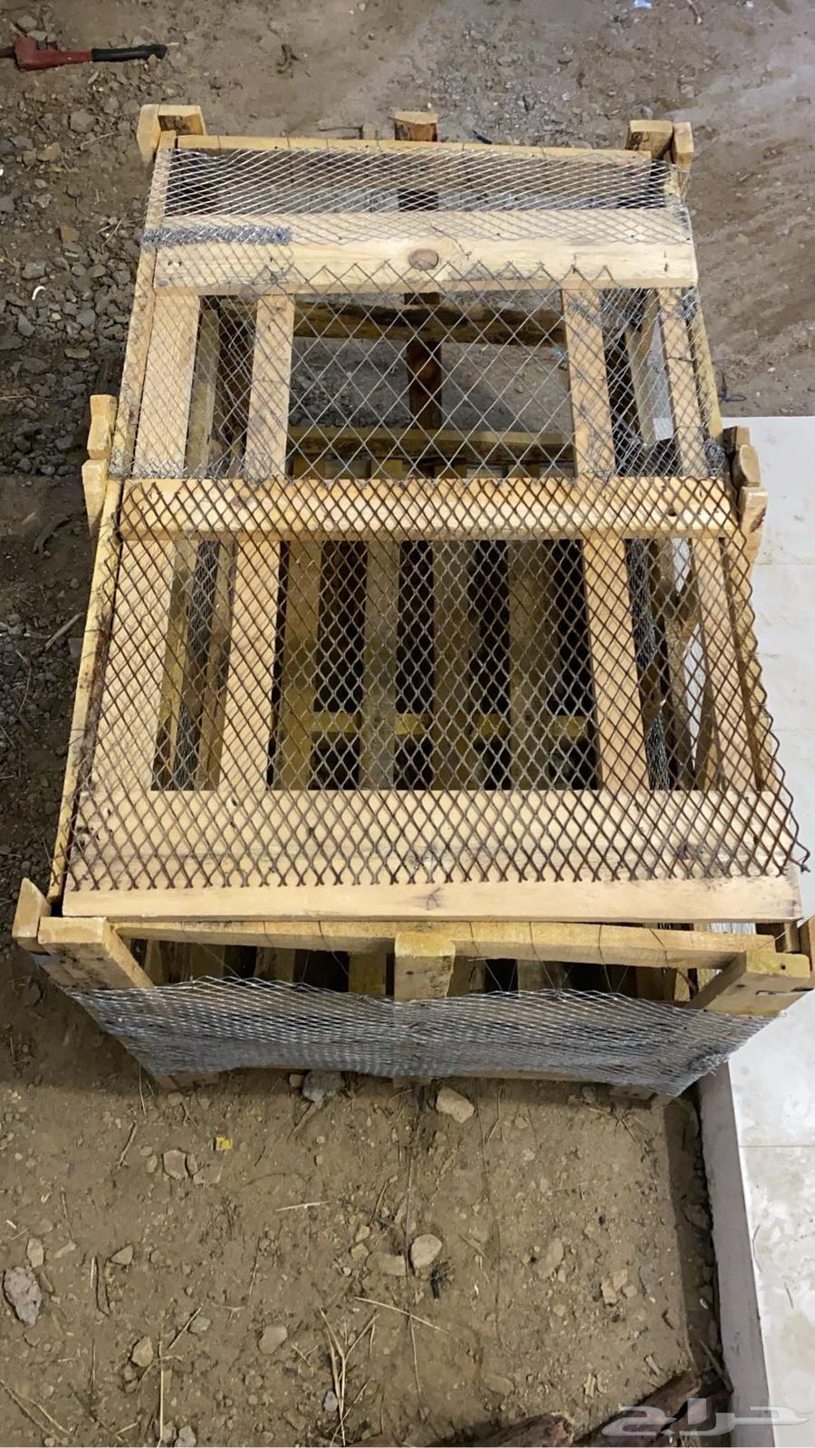 للبيع طبليه شبك شغل يدوي لتربيه الدجاج   حمام   فروخ64484911463171110
