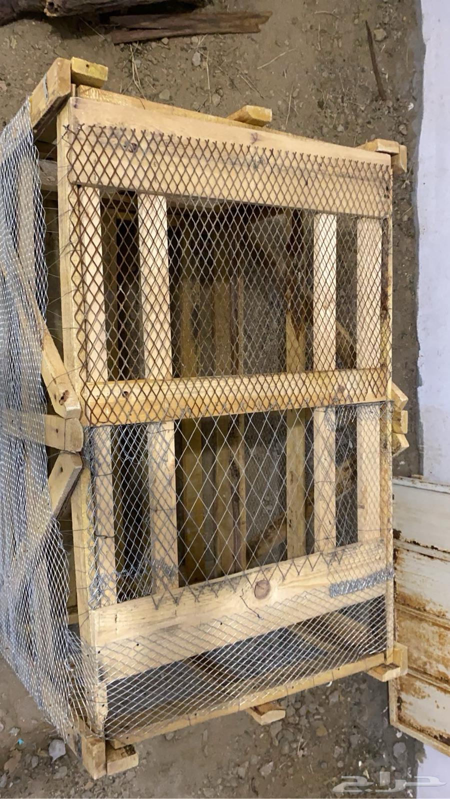 للبيع طبليه شبك شغل يدوي لتربيه الدجاج   حمام   فروخ64484911463171111