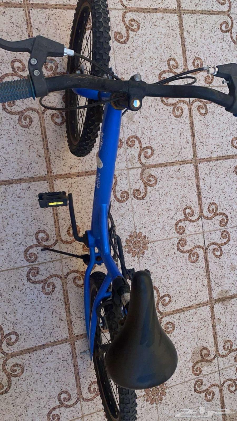 سيكل نظيف64485009942530112