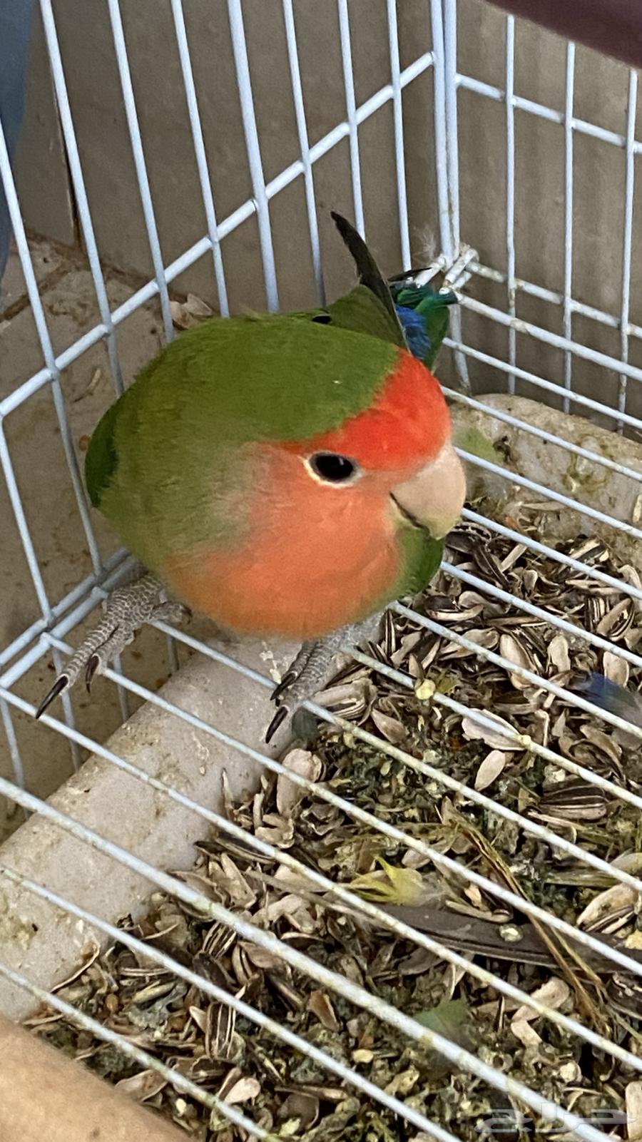 Day64482484686979112