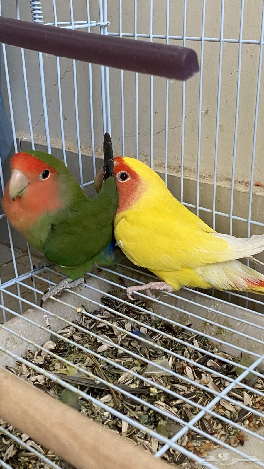 Day64482484686979110