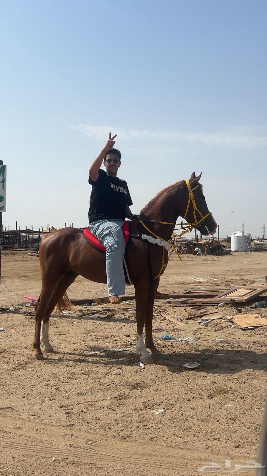 العمر سنتين وا ثمنيه شهور64479701728387112