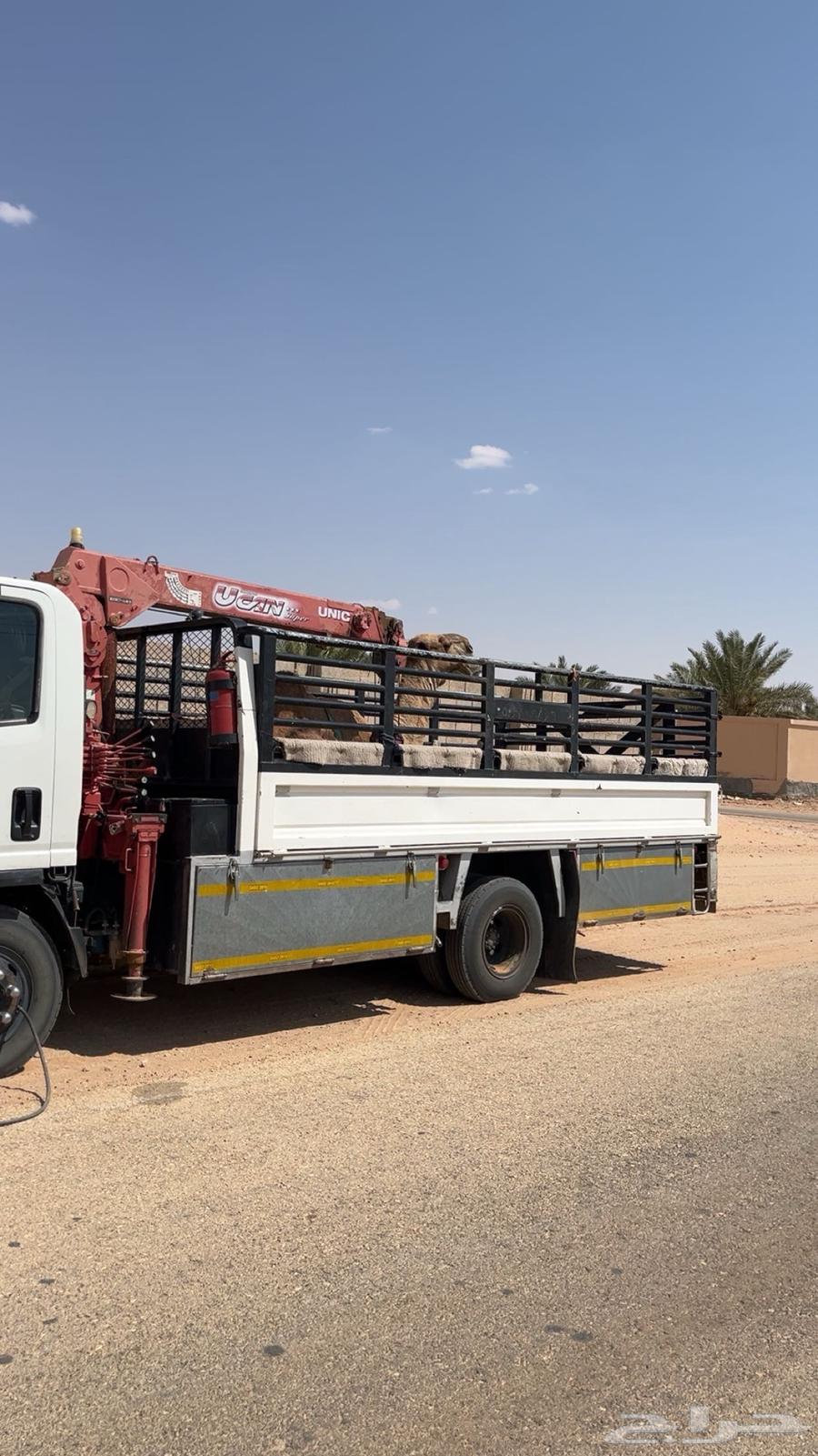 دنا ابل64481518103425110