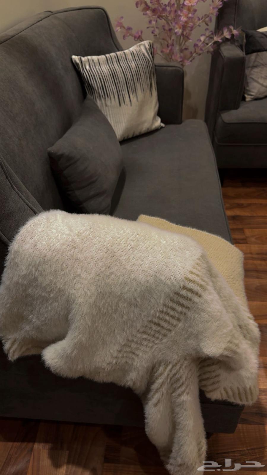 كنب صاله64484525303042113