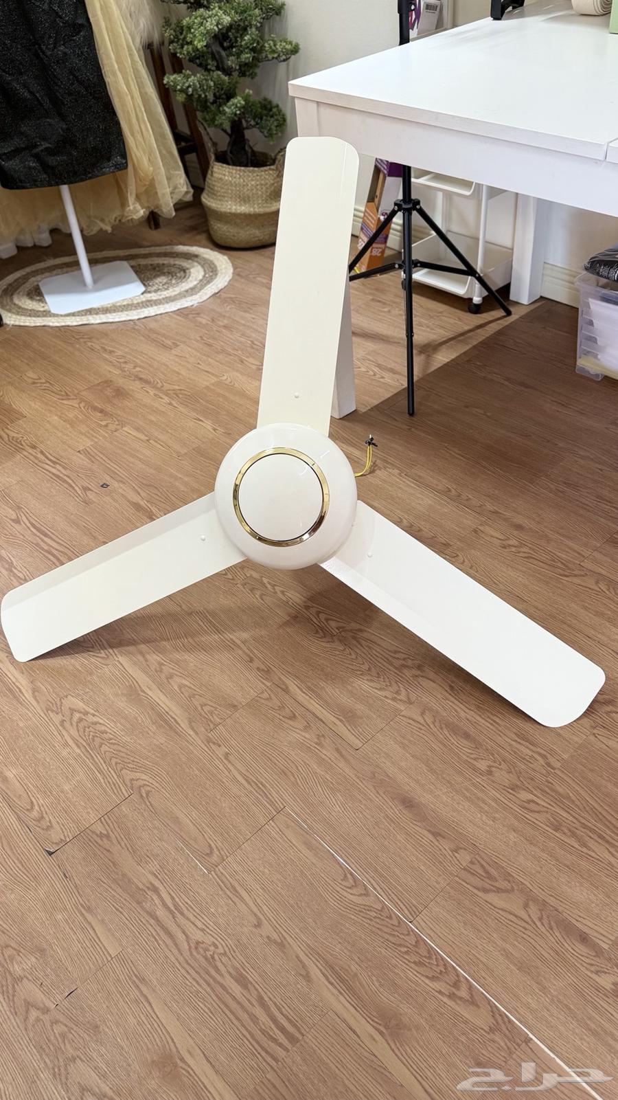 SUPER FAS Ceiling Fan, Negotiable Within Reason64485406068994110