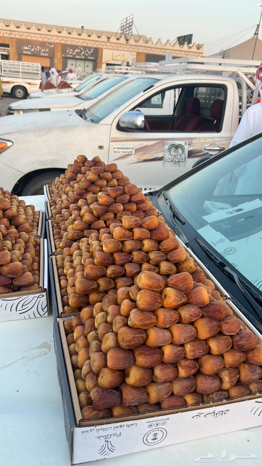 Comprehensive clearance of premium Qassim dates at near-purchase prices64483715876353110