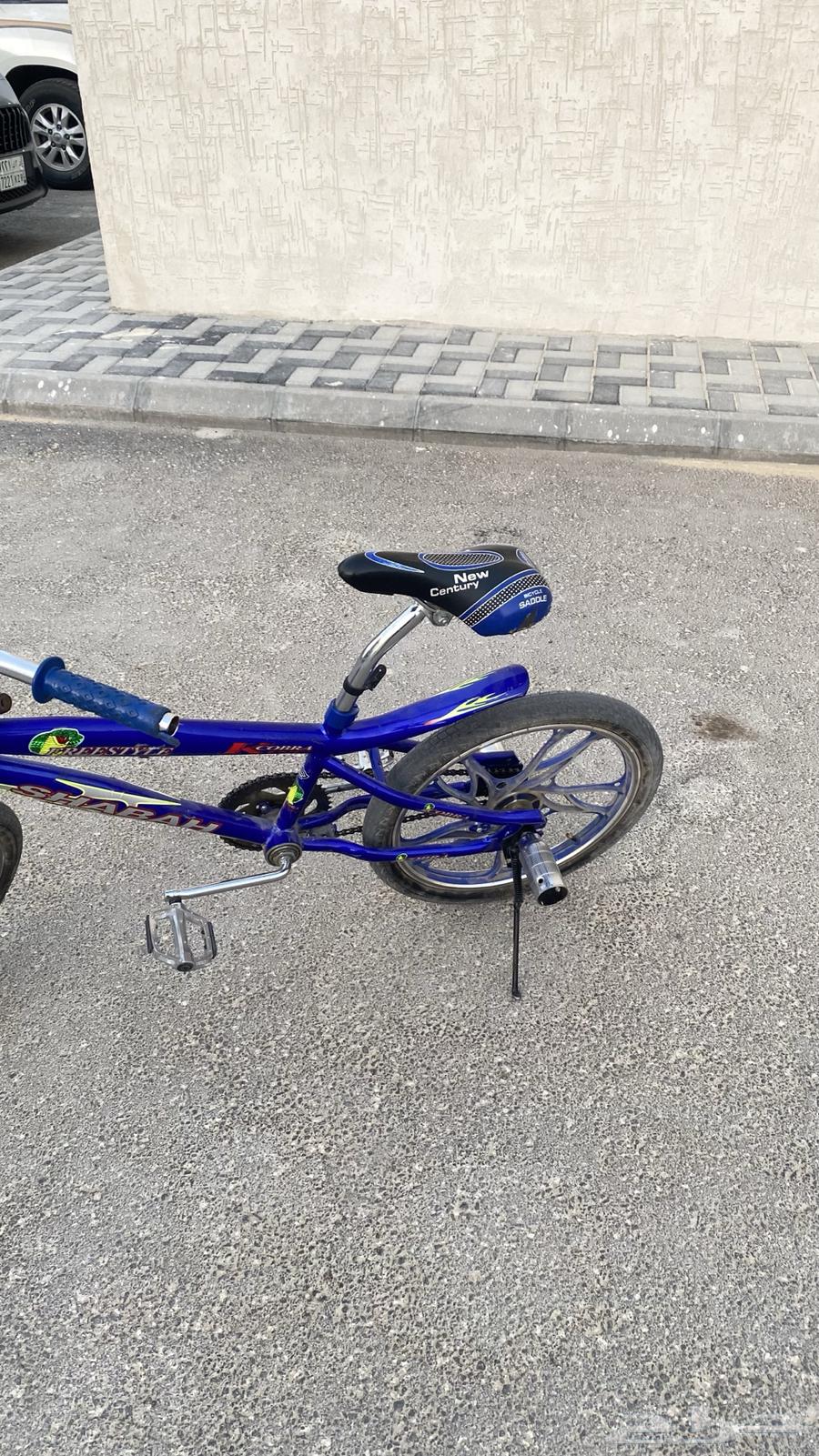 سيكل كوبرا للبيع64484088917377114