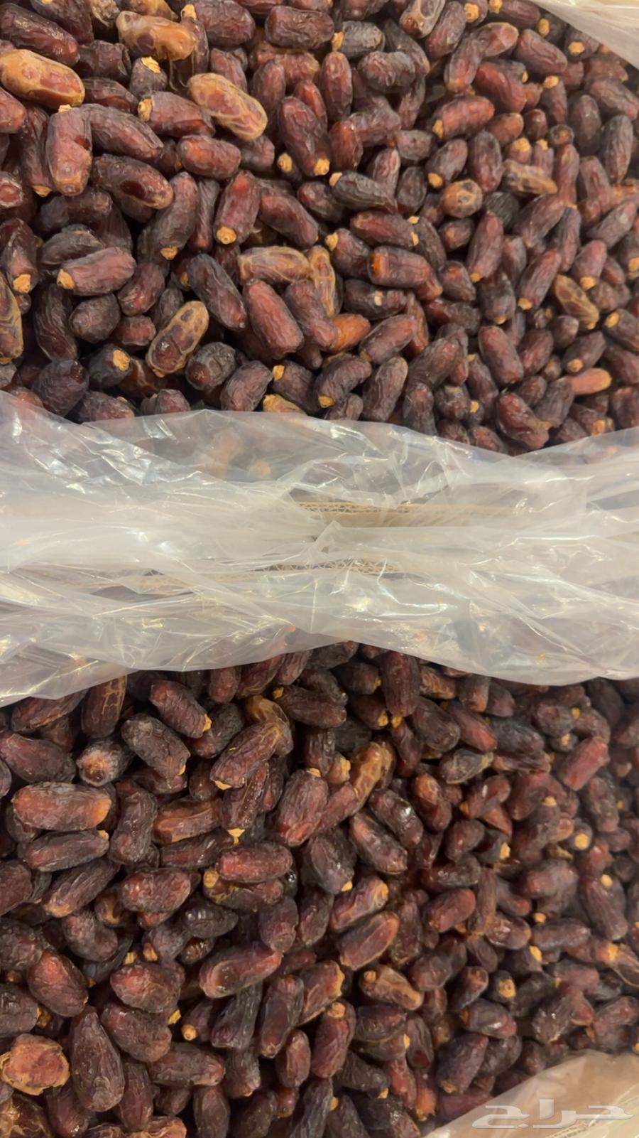 Smoked Dates Large Cartoon64480482732417111