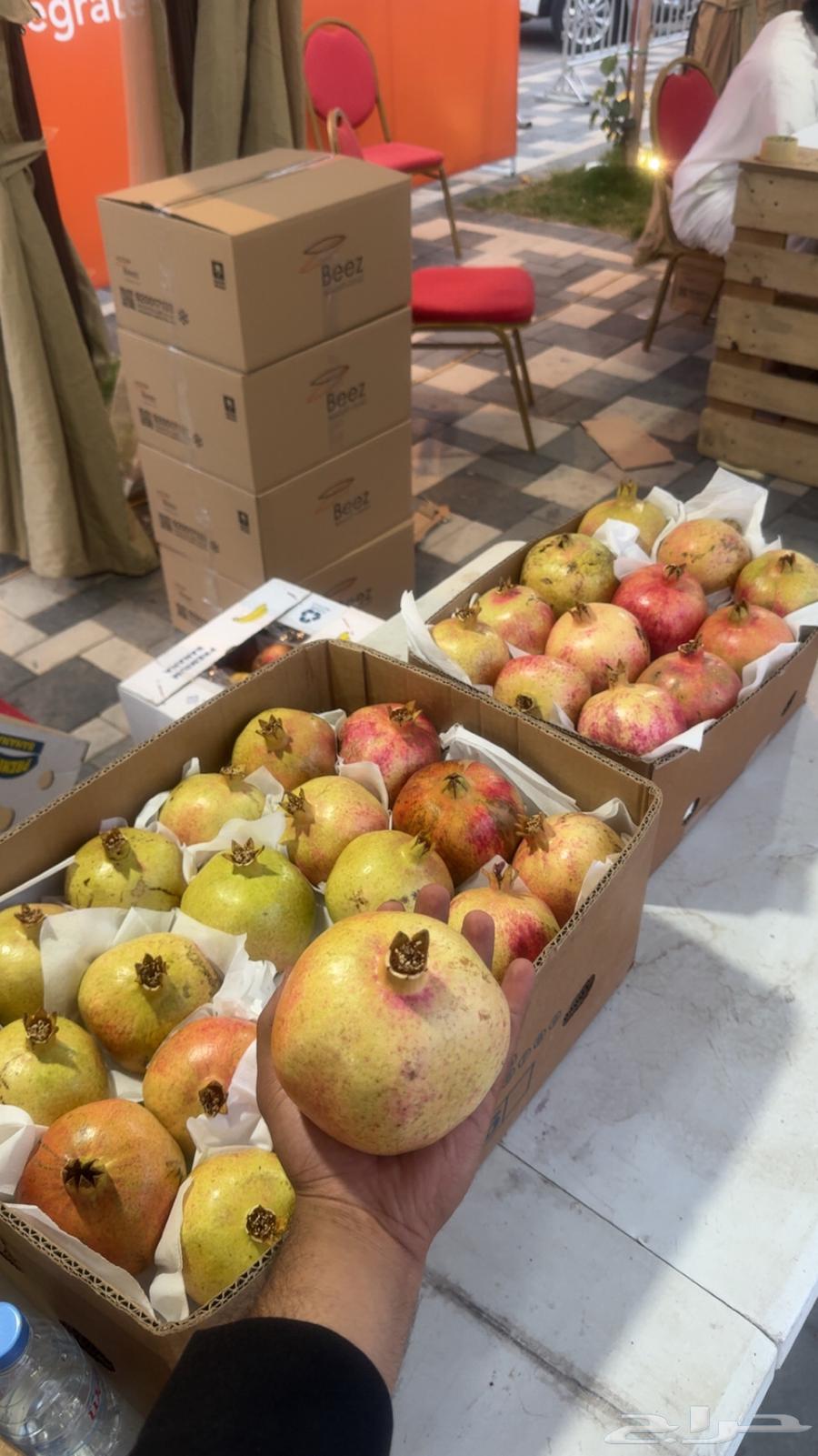 رمان جوف ال معمر حبه كبير على الشرط64483867524610110