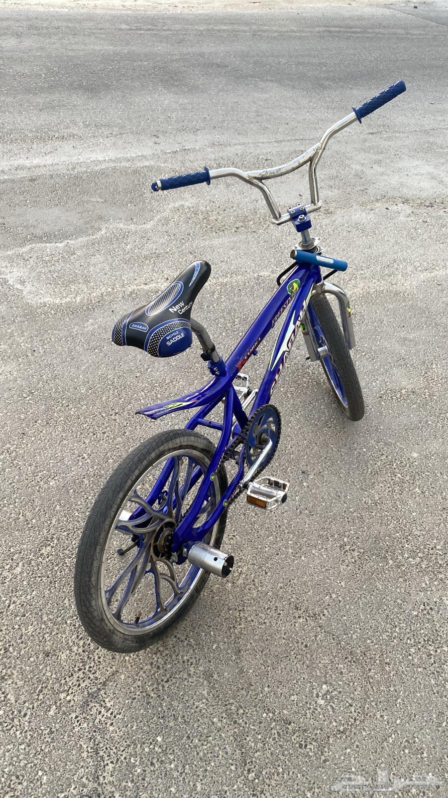 سيكل كوبرا للبيع64484088917377112