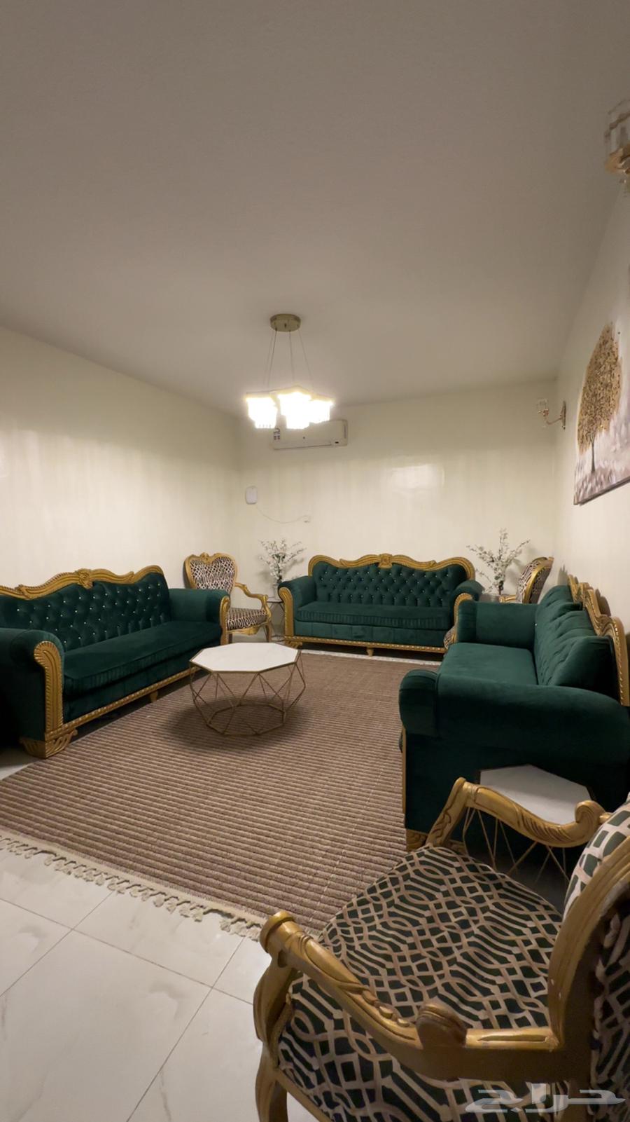 Clean sofa64484897708802110