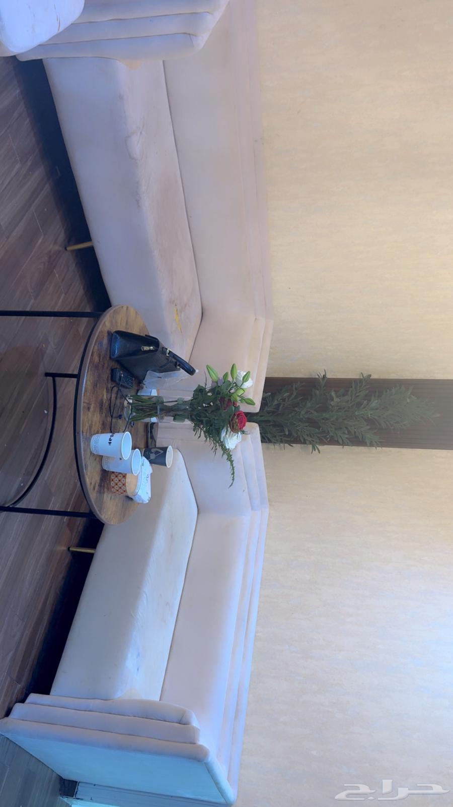 Sofa64480167448579112