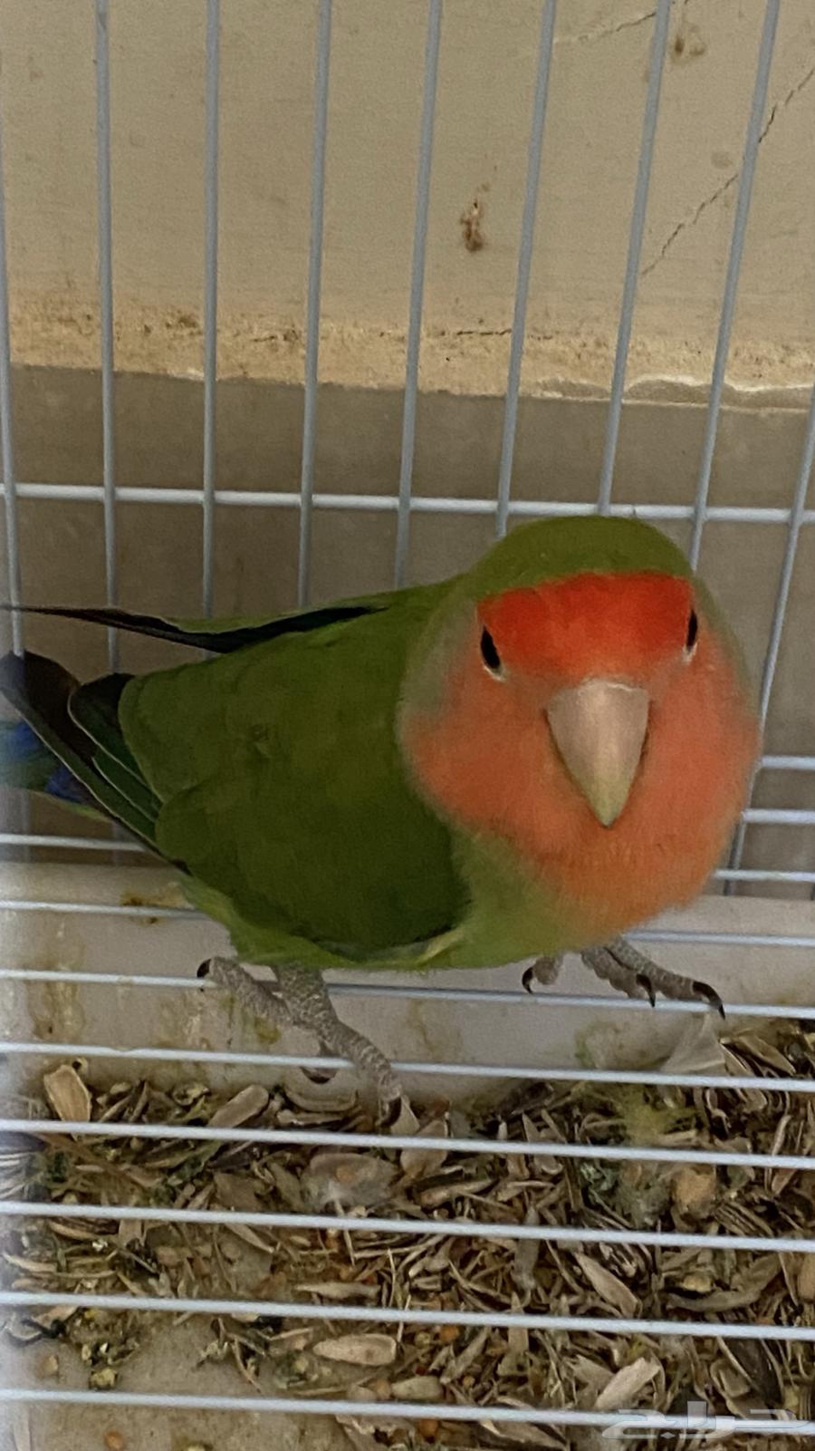 Day64482484686979111