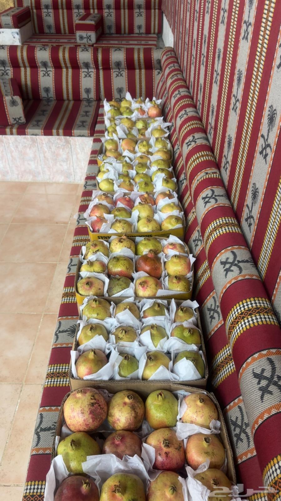 رمان جوف ال معمر64480373033219111