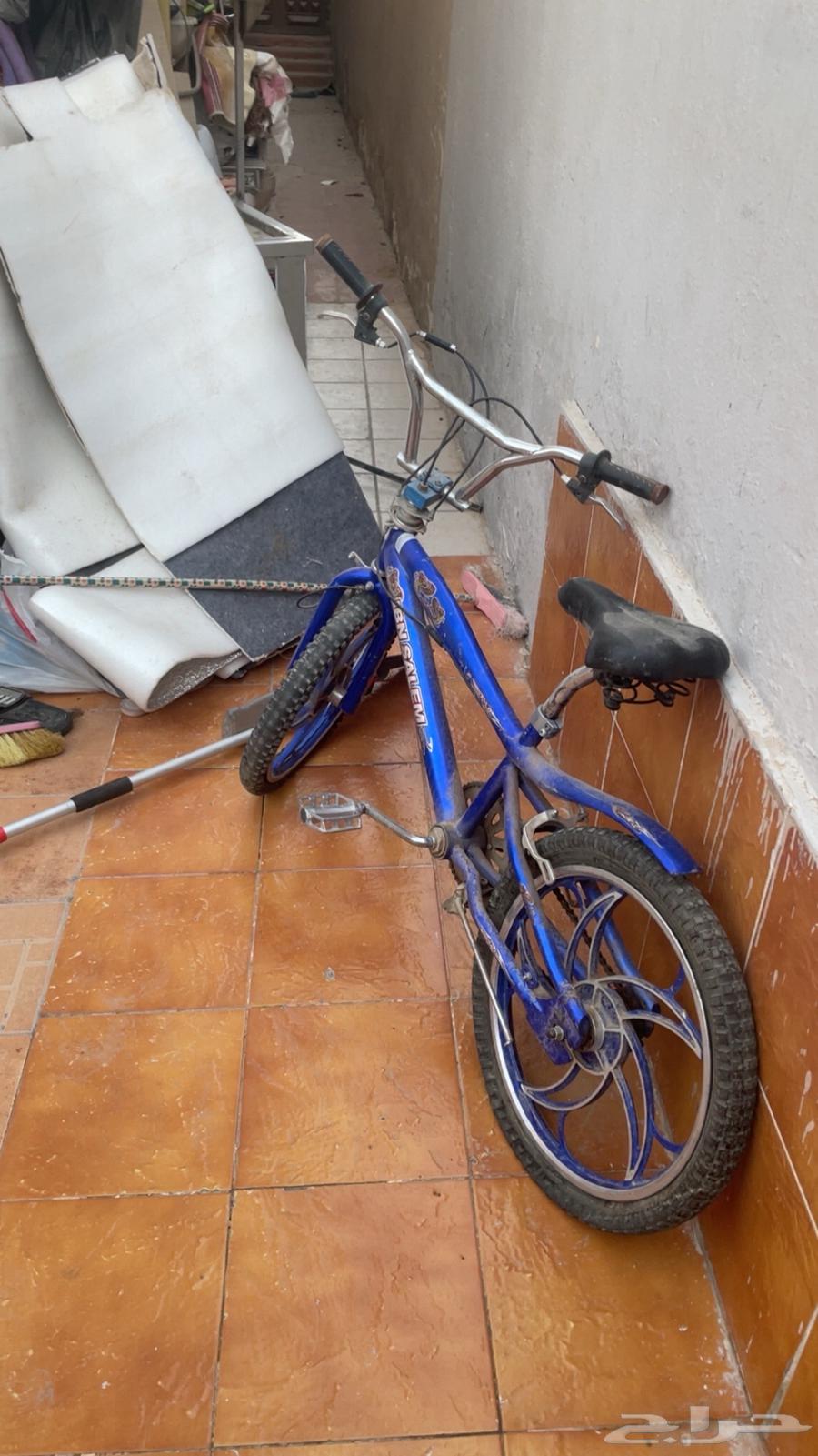 Distinctive Cobra Bicycle64481845458434111