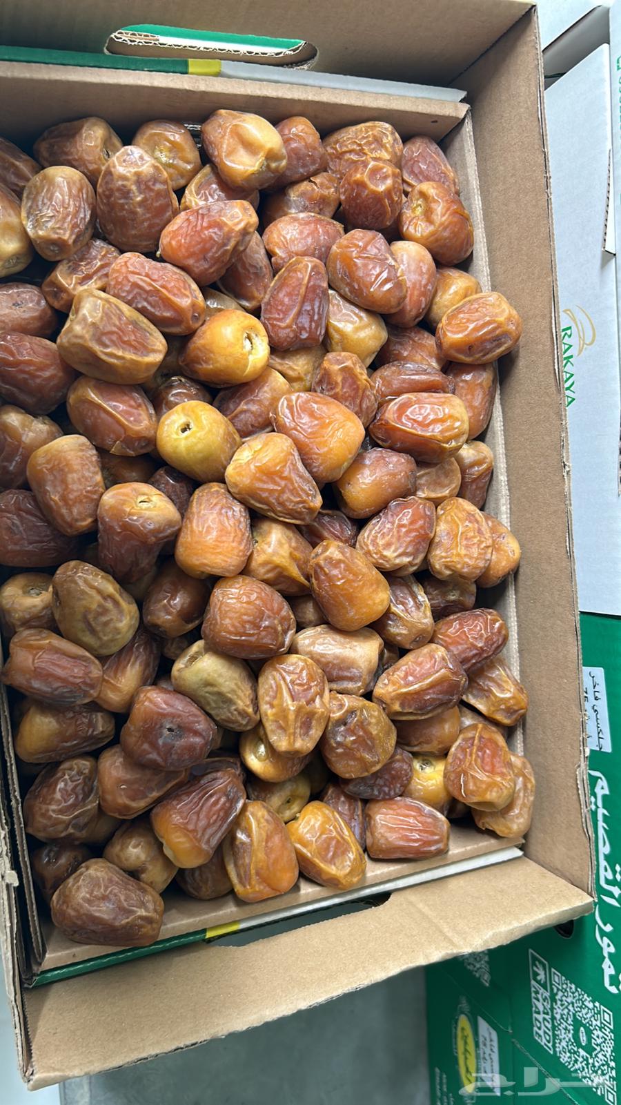 Comprehensive clearance of premium Qassim dates at near-purchase prices64483715876353111