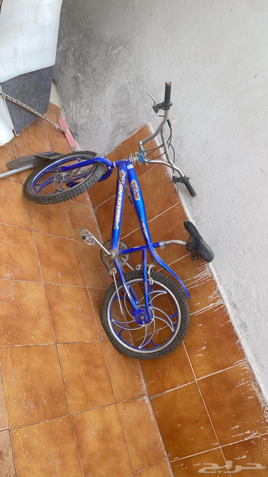 Distinctive Cobra Bicycle64481845458434110