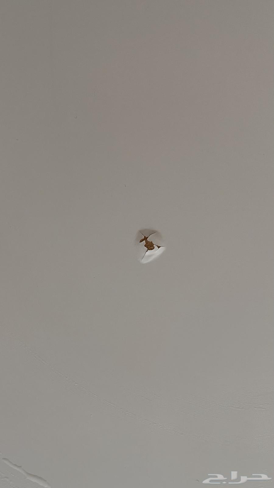 كمودينه ايكيا64480414191106112