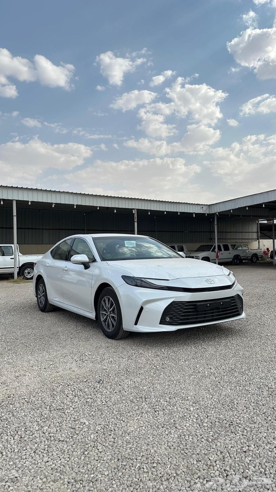 تم البيع64655308378370113