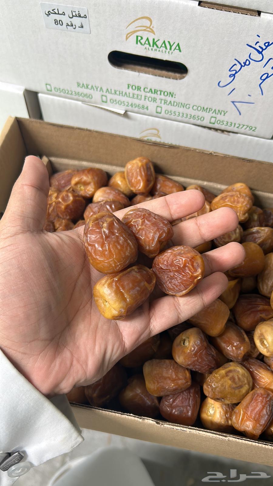 Comprehensive clearance of premium Qassim dates at near-purchase prices64483715876353112