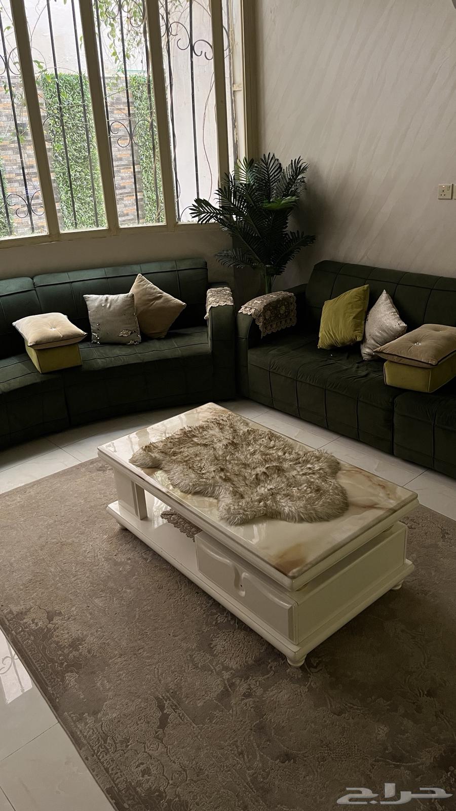 للبيع كنب دائري وطاوله64480455648258112