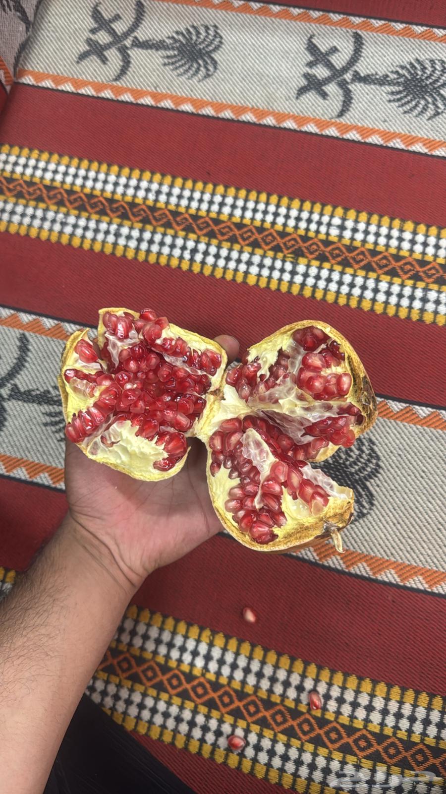 رمان جوف ال معمر64480373033219112