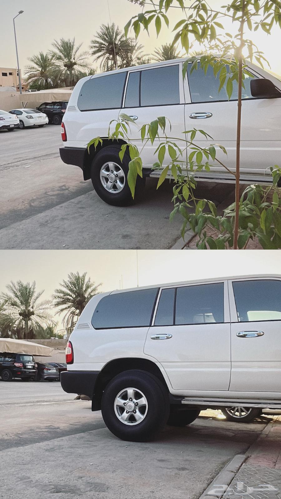 The Red64479591125506113