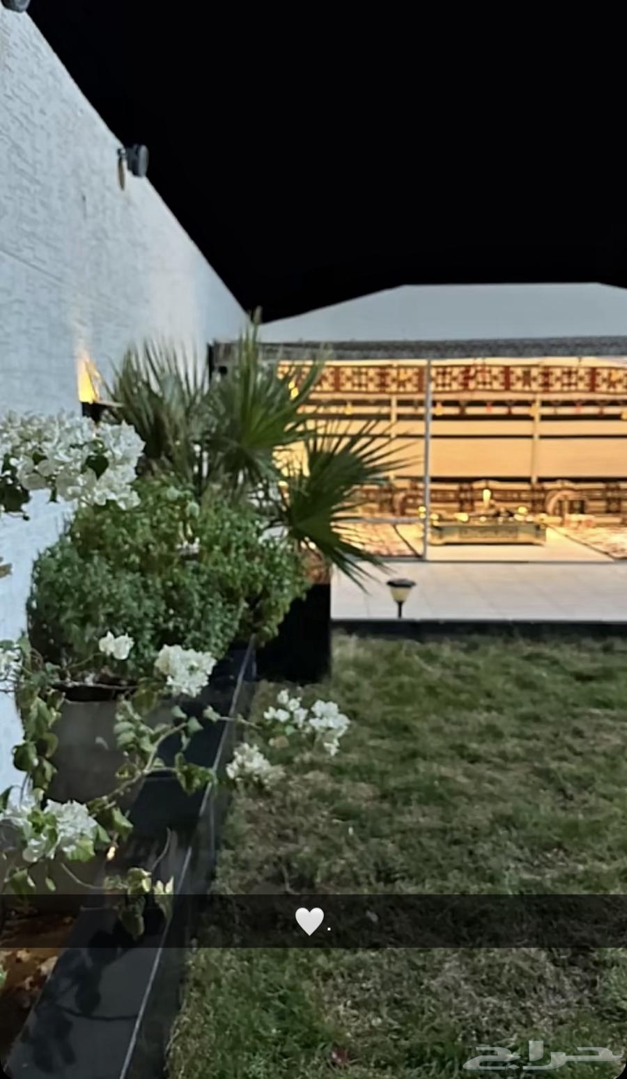 بيت الشعر المطور على هيكل حديد64479619037314111