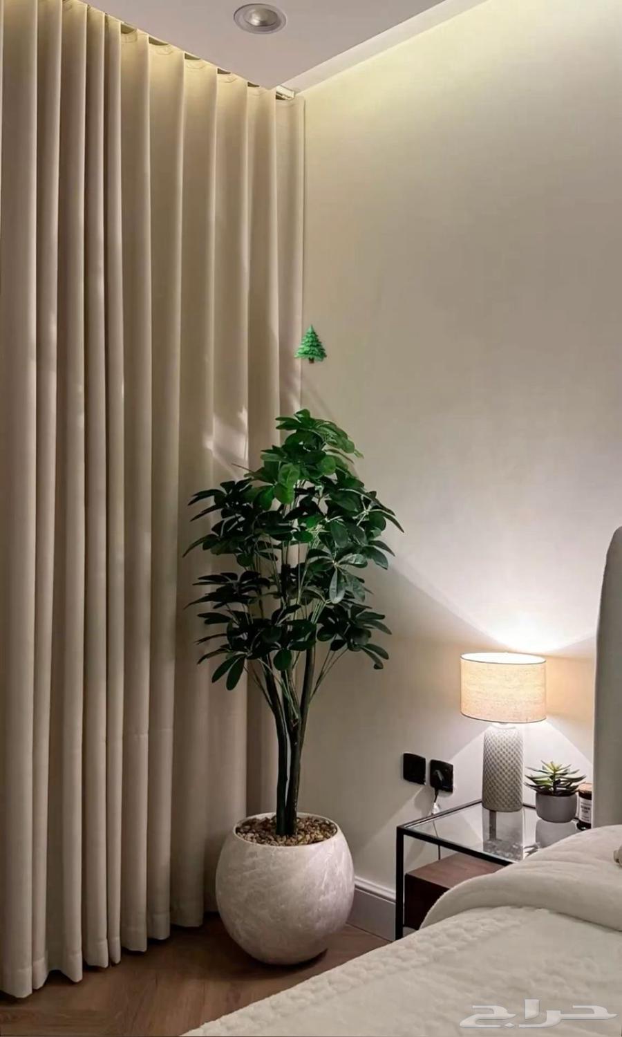 Curtains and sofas, we have Taby and Tamara64481504808065114