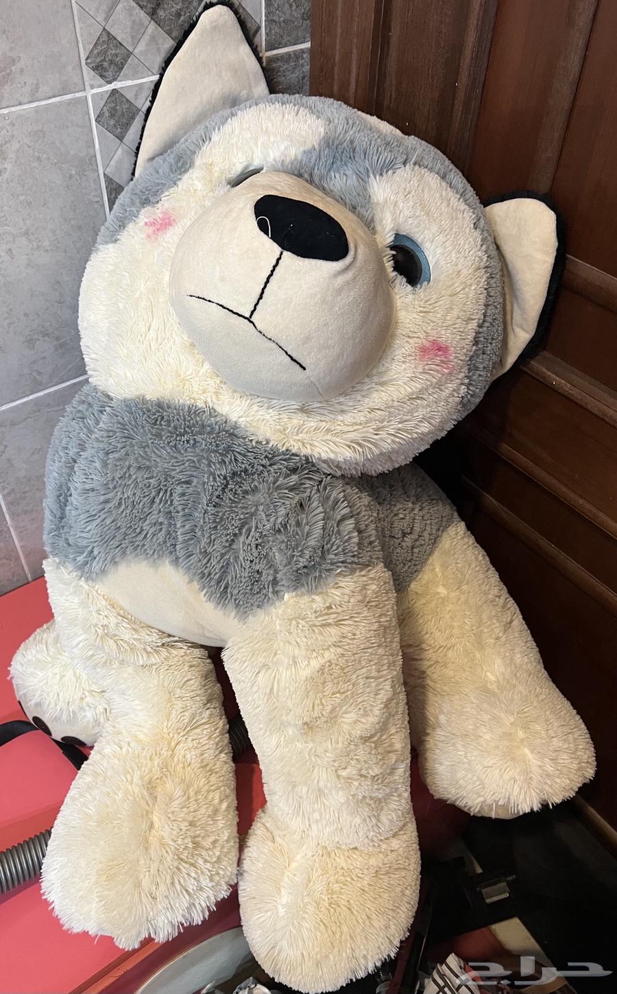 لعبة دبدوب64483473936899110