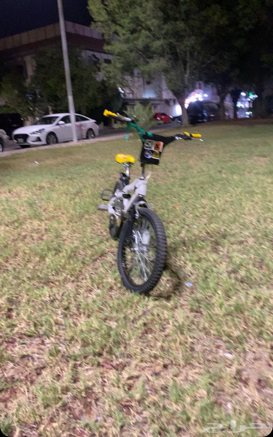 New Cobra, only five months old64483978210691113