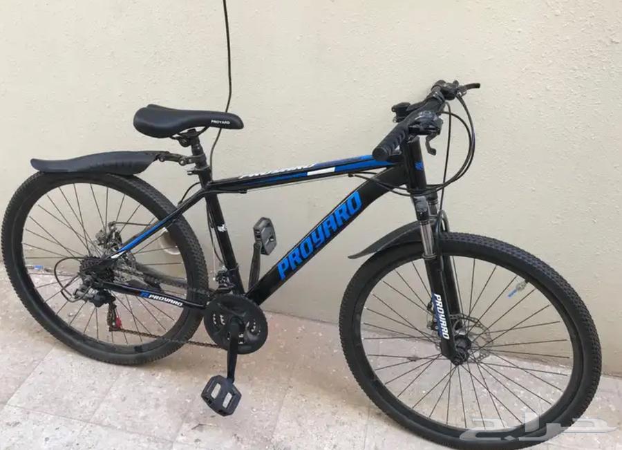 Al Riyadh Al Naseem64480689262595111