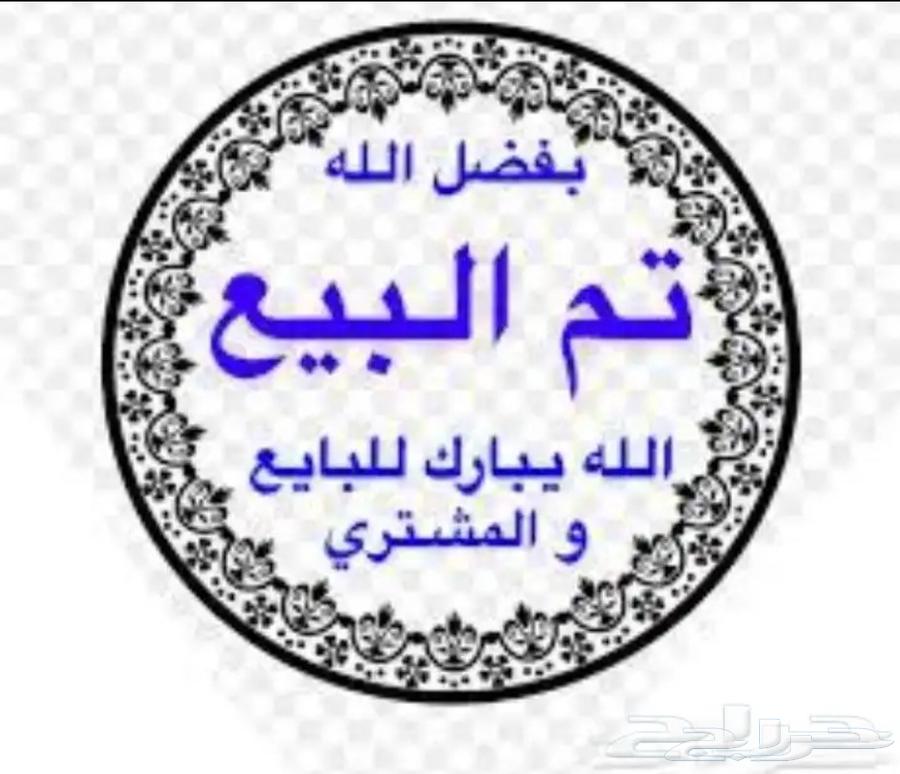 حمام باكستاني64423891141377113