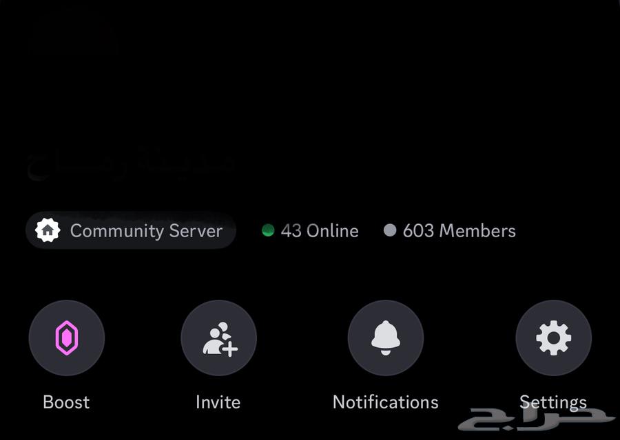 دسكورد فيه عدد وشبه جاهزesx64479632816258110