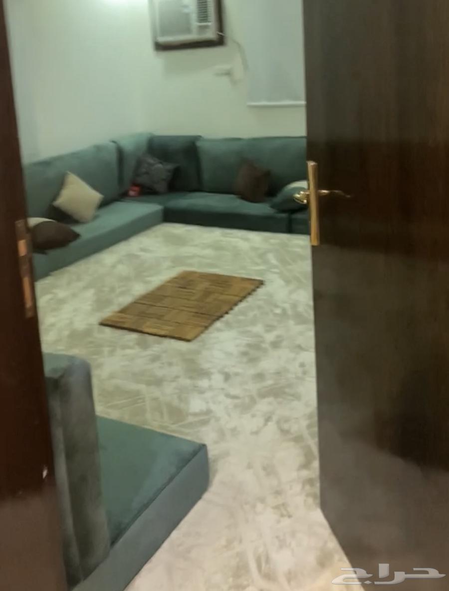 كنب ارضي للبيع64481141817987110