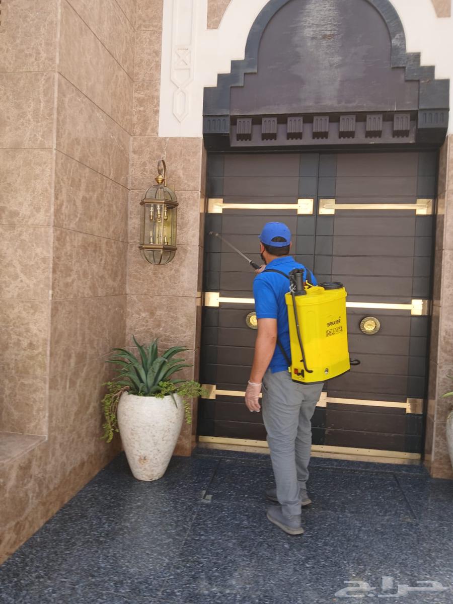 مكافحة حشرات ونظافة عامة64147074450561114