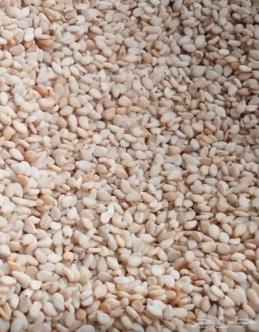 للبيع حب سمسم ابيض غظارف64482213703297114