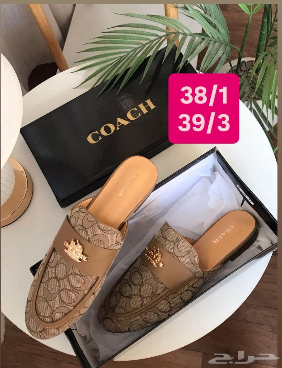 عروض اليوم الوطني64485611702787114