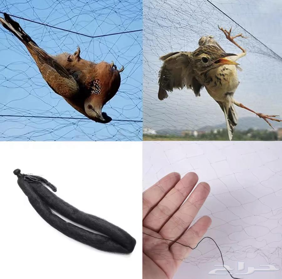 Fishing net64480619847425110