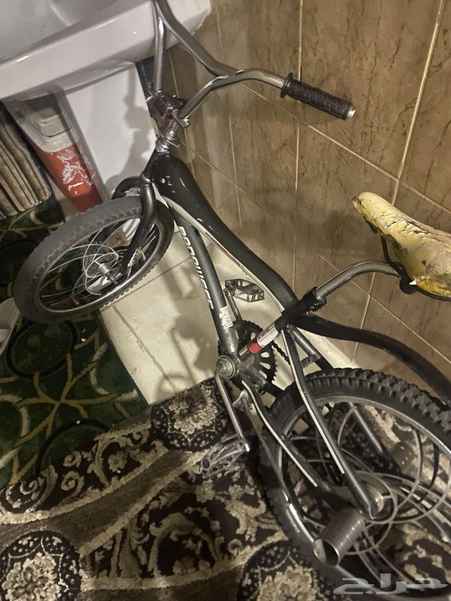 Cyclone Cobra64482349857409110