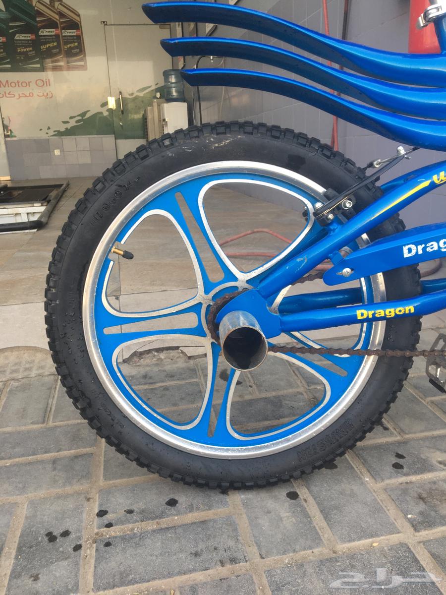 سيكل كوبرا64484294424834113