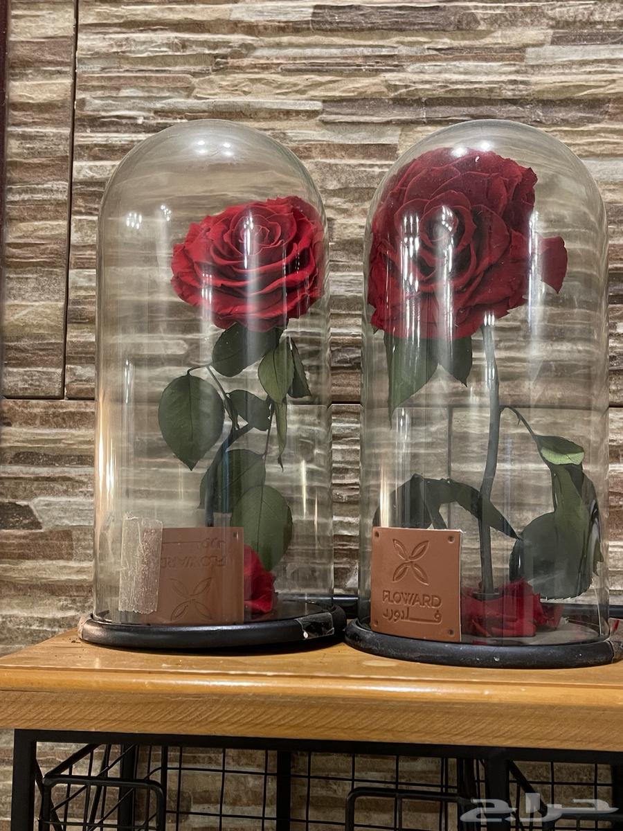 ورد من فلاورد جديد الوردة تبقى سنوات ماتموت64480908922242110