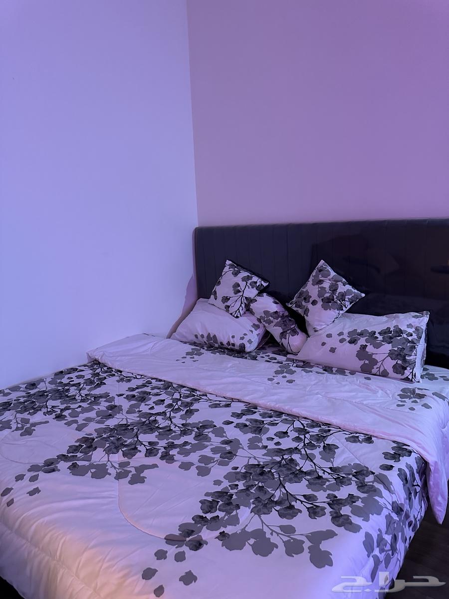 Studio64485681979779114